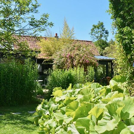 Chambres D'Hotes, Gites La Petite Madeleine La Madelaine-sous-Montreuil エクステリア 写真