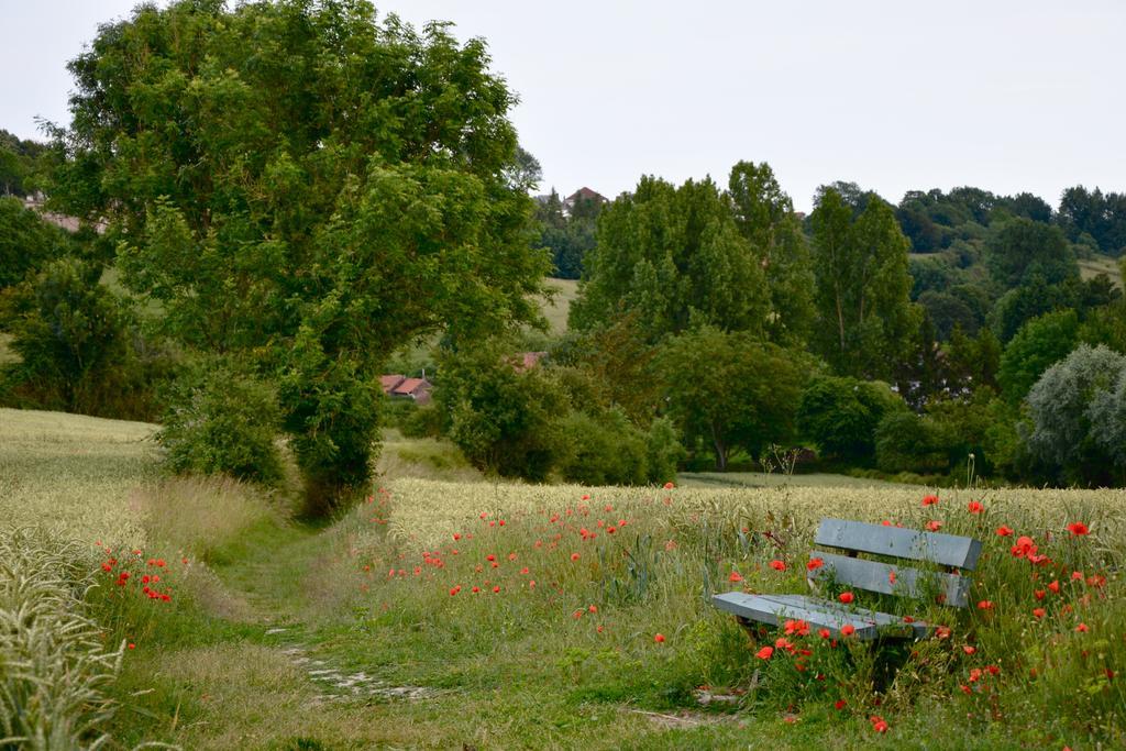 Chambres D'Hotes, Gites La Petite Madeleine La Madelaine-sous-Montreuil エクステリア 写真